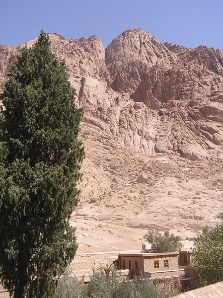 Sinai Mountain area