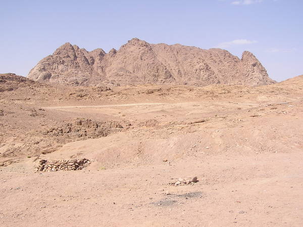 Mount Sinai area