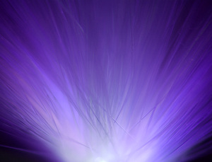 Abstract Light Background 6