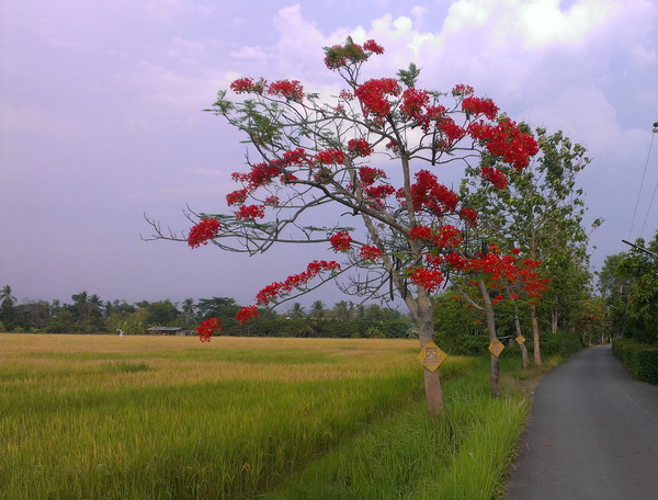 Thailand, country side