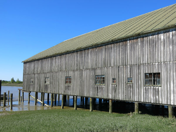 old cannery