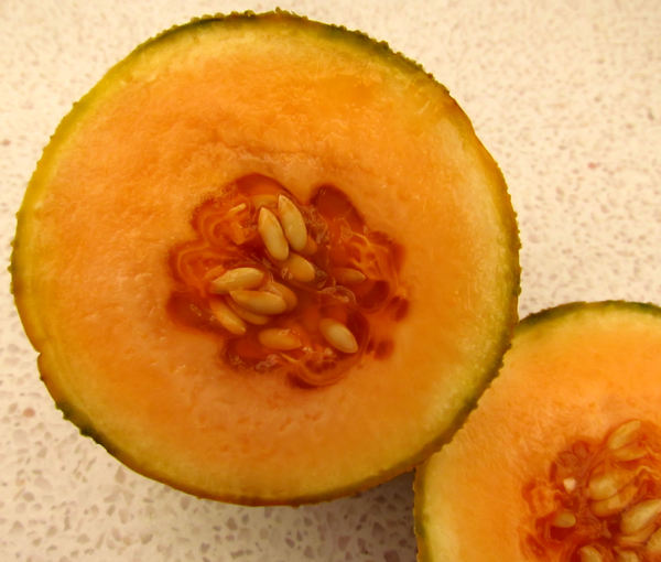 rockmelon ripeness1