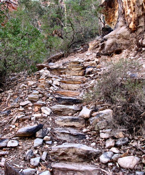 rocky bush trail1