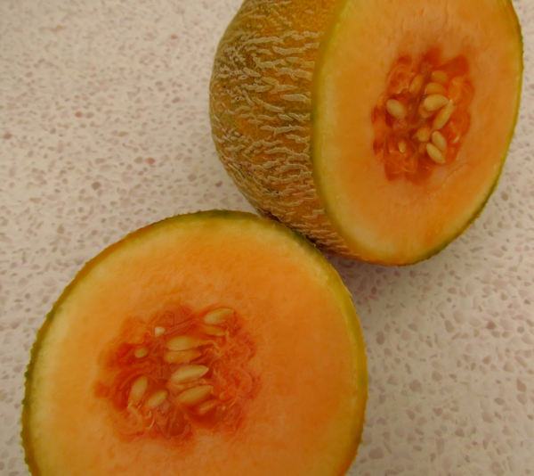 rockmelon ripeness2