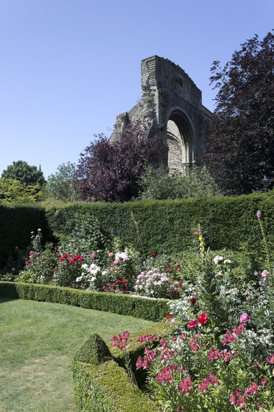 Garden with ruined arch