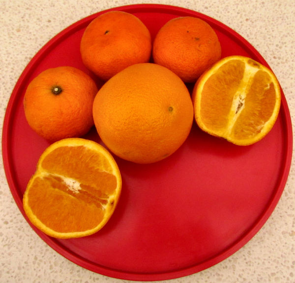 oranges & mandarins4