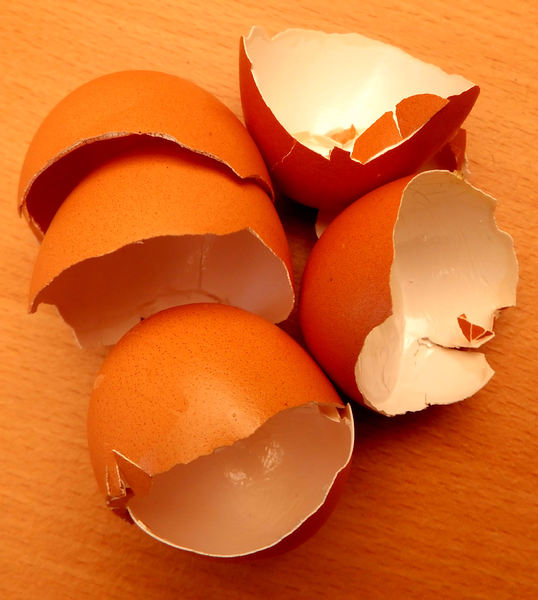 broken egg shells1