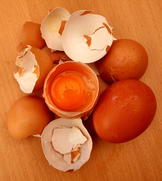 broken egg shells6