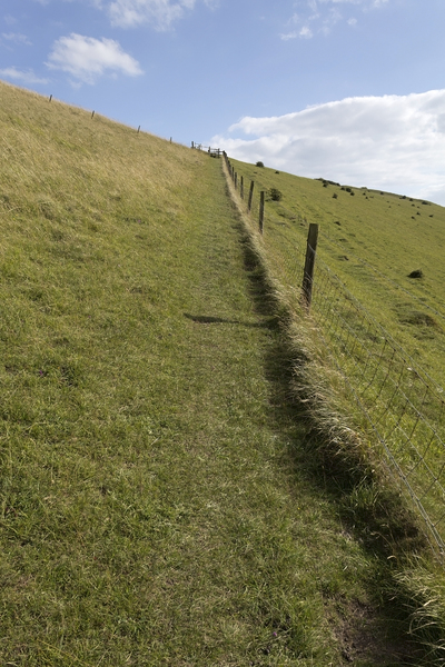 Footpath up a hill