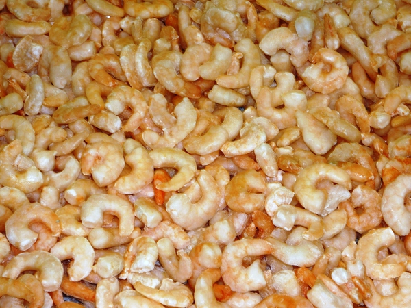 small shrimp texture