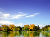 Fall Across the Pond