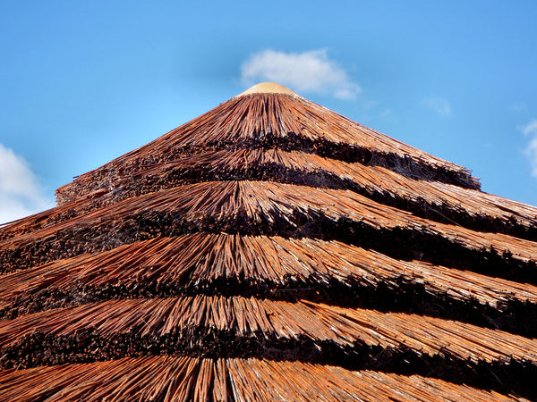 thatched patio roof2