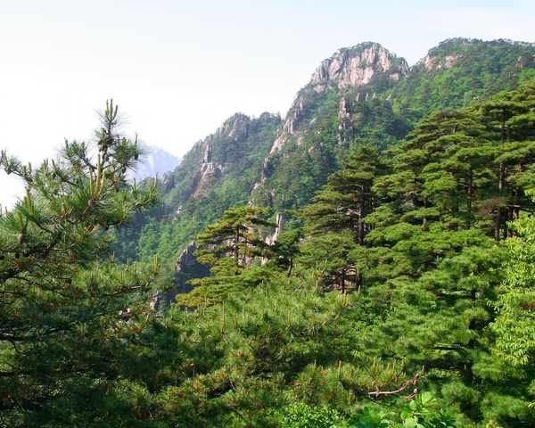 Huangshan landscape