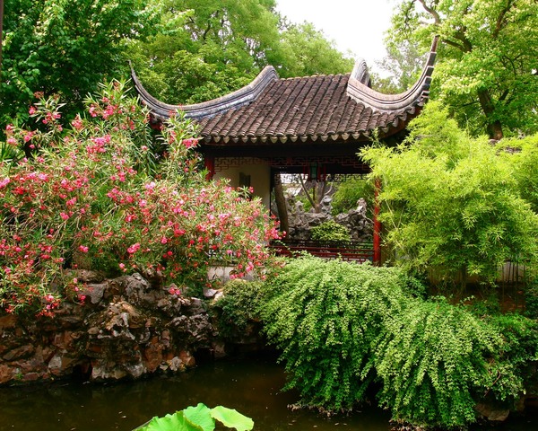 Chinese garden #1