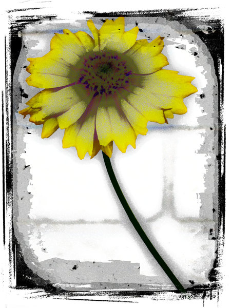 Grunge Flower 5