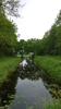 Landschap Friesland
