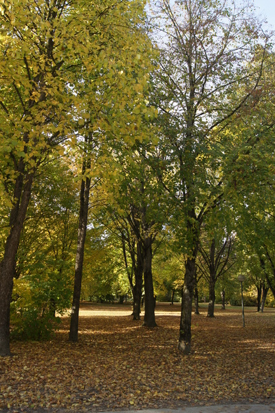 bavarian autumn park