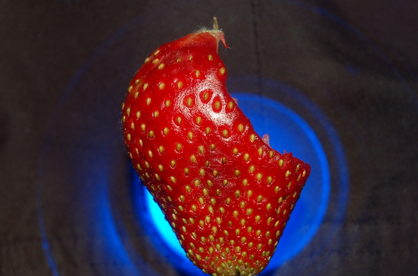 strawberry 1