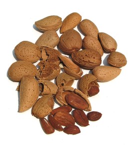 almonds 1: none