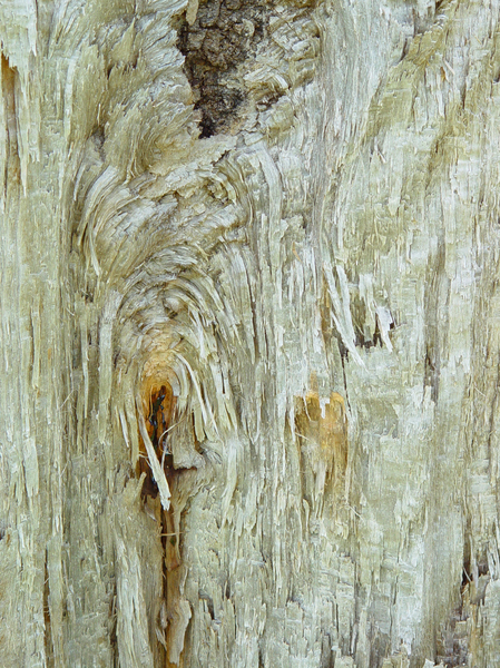 wood 3