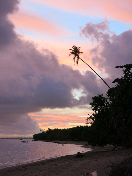 tropical sunset | Free stock photos - Rgbstock - Free stock images ...