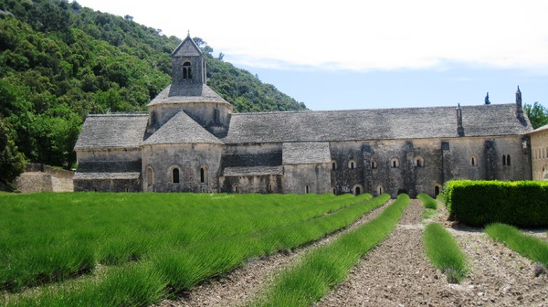 Senanque Abbey