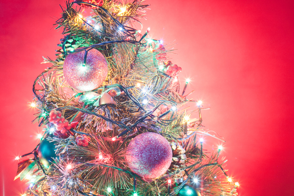 Christmas Tree 16: Photo of christmas tree