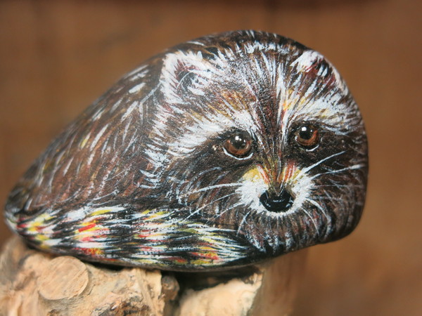 raccoon stone