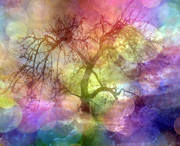 Collage Fantasy Tree 2