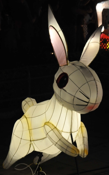 rabbit lantern