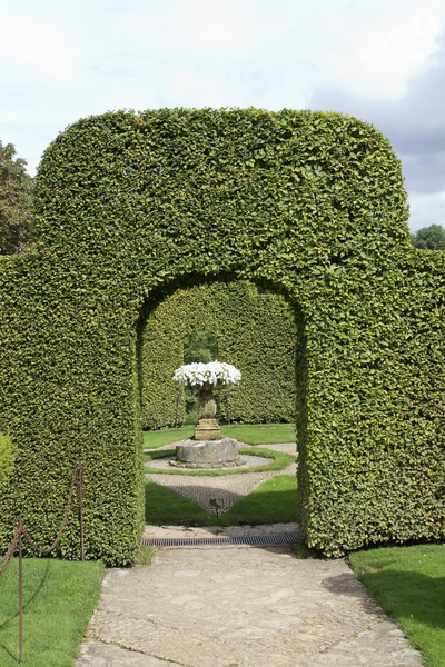 Topiary arch