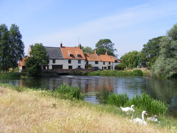 Hardwater Mill with Swan Famil