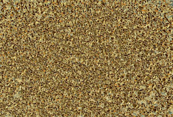 golden conglomerate1