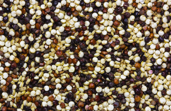 Quinoa Seed Texture
