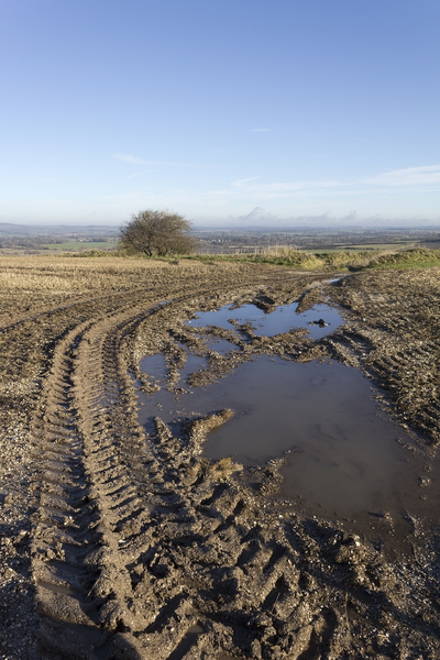 Mud landscape