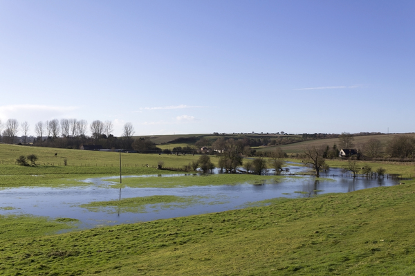 Flooded river meadow