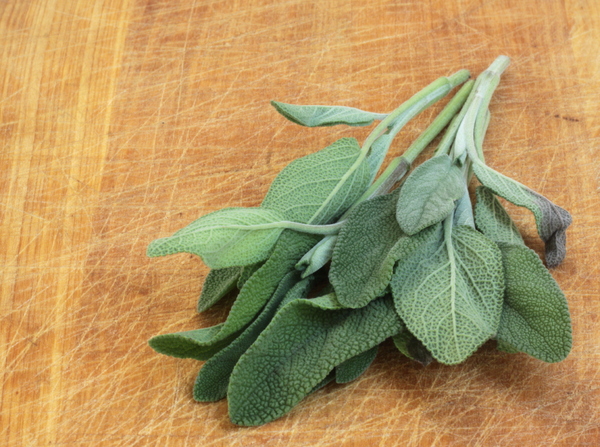 Sage 2: Fresh sage on an old used wooden board 