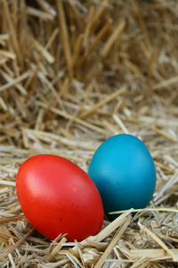easter eggs 1