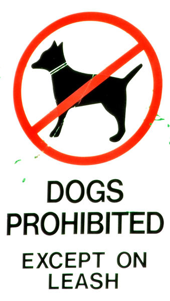 doggy exceptions