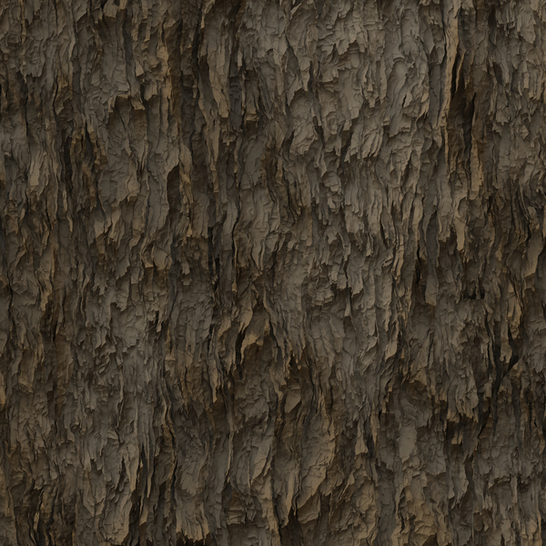 Tree Bark 2