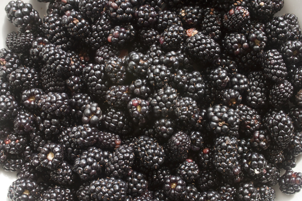 Blackberries