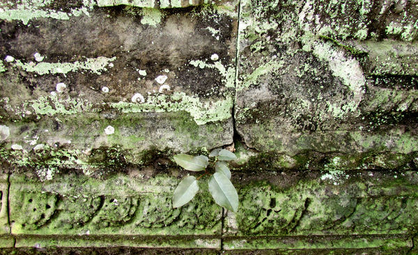 temple wall textures10