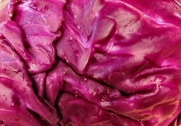 red cabbage textures4