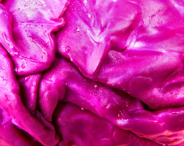 red cabbage textures3