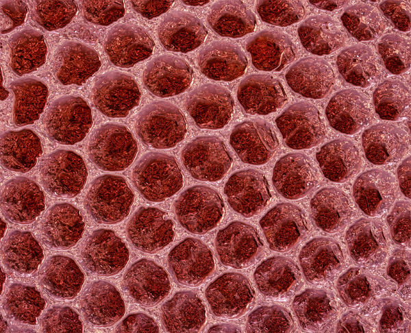 metallic copper honeycomb