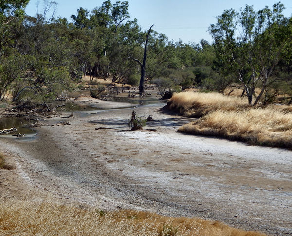 dry riverbed2
