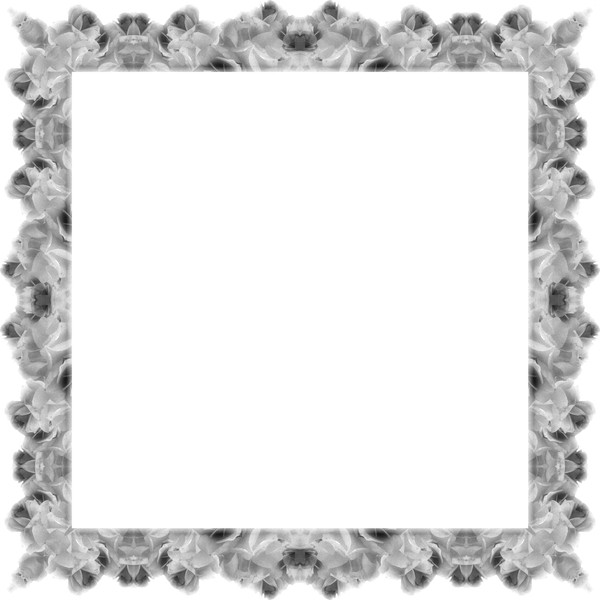 Square Floral Frame 3