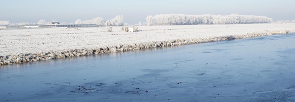 winter in the polder