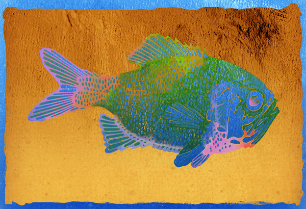 Painted Fish 2