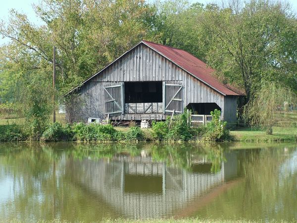 Barn on pond: A barn reflects into a small pond